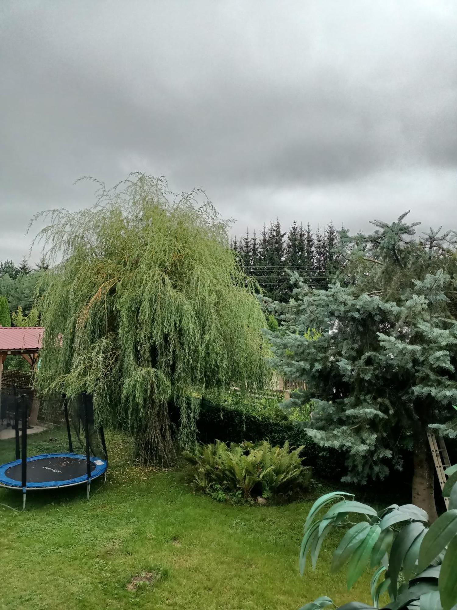 U Zbyszka Appartement Kamienna Gora Kamer foto